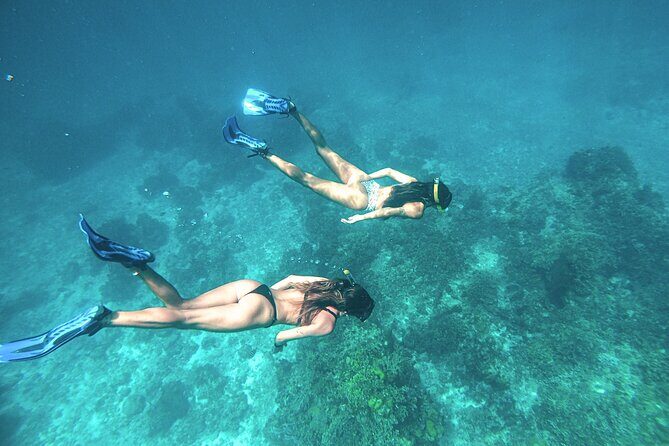 El Cielo Cozumel Snorkel Share Boat + Reefs + Food Drinks + Beach - Stops timing and what can change on the water
