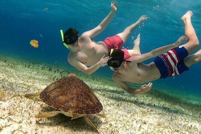 El Cielo Cozumel Snorkel tour by Catamaran - Key things I’d watch for