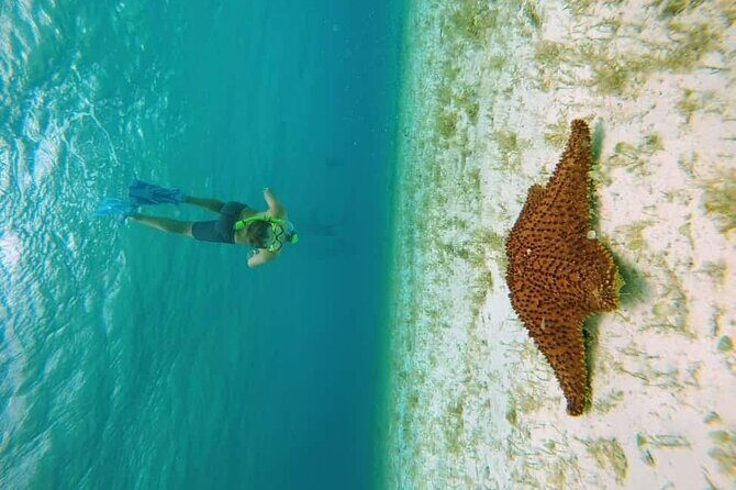 El Cielo Cozumel Snorkel tour by Catamaran - What makes El Cielo Cozumel snorkel special