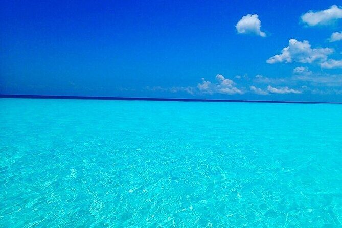 El Cielo Cozumel Snorkeling Tour - All-Inclusive - El Paso del Cedral and Tunich reefs: more chances, different scenery