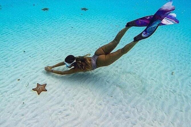 El Cielo Cozumel Snorkeling Tour - All-Inclusive - Crew help you remember: Tony, Alejandra, Gio, Jesus, Simon, Daniel, and Poncho