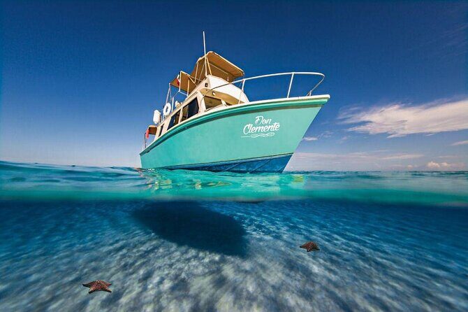 El Cielo Cozumel Snorkeling Tour - All-Inclusive - Palancar Reef: your first big wildlife and coral payoff