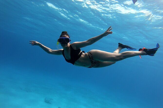 El Cielo Cozumel Snorkeling tour by Private Boat - Price and value: $789 for up to 7 (what you’re really paying for)