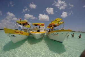 El Cielo Cozumel Snorkeling tour by Private Boat - Marina meeting point: finding Marina Cozumel without stress