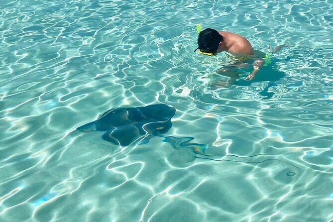 El Cielo Cozumel Snorkeling tour by Private Boat - The snorkeling route: from El Cielo starfish sand to reef walls