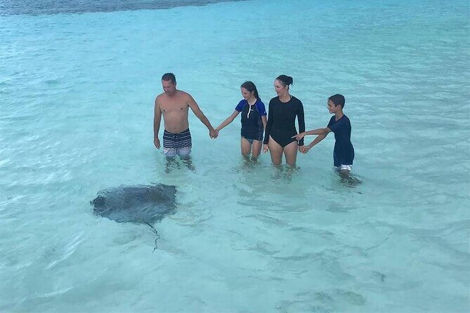 El Cielo Cozumel Snorkeling trip by Catamaran - Where the Day Starts: Marina Cozumel and a Smooth 4-Hour Rhythm
