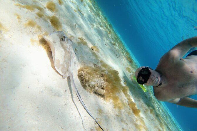 El Cielo Cozumel Snorkeling trip by Catamaran - Who should book this Cozumel catamaran snorkel day