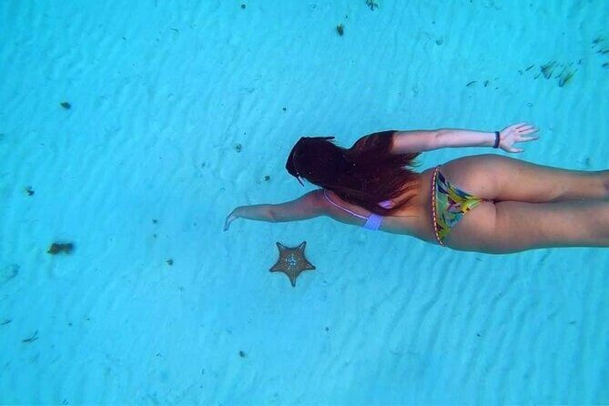 El Cielo Cozumel Snorkeling trip by Catamaran - The Snorkeling Game Plan: Multiple Reef Stops That Keep Things Interesting