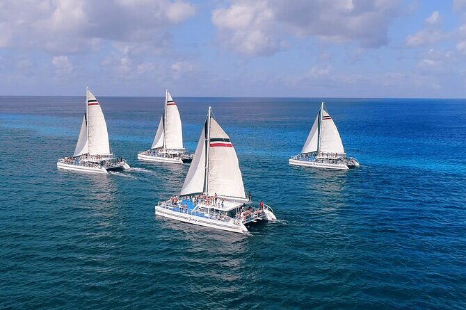 El Cielo, Palancar Snorkel & Beach Party Experience - Should You Book This Snorkel-and-Beach-Party Tour?