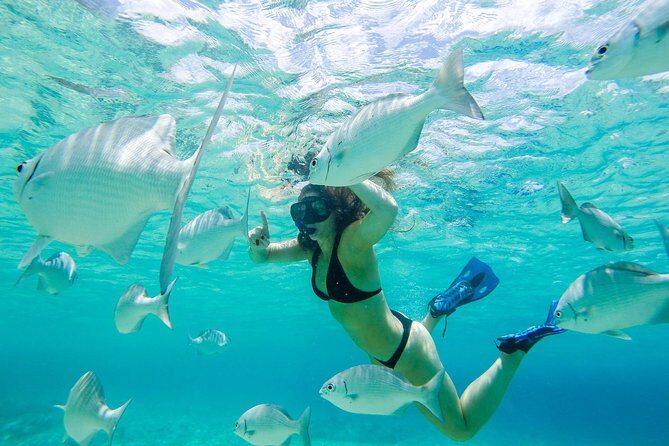 El Cielo Snorkel by Private Boat - Why this private boat El Cielo-style snorkeling feels different in Cozumel