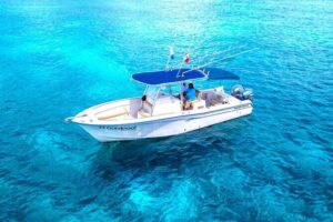 El Cielo Snorkel by Private Boat - Two reef stops: Chankanaab Reef and Paraiso Reef