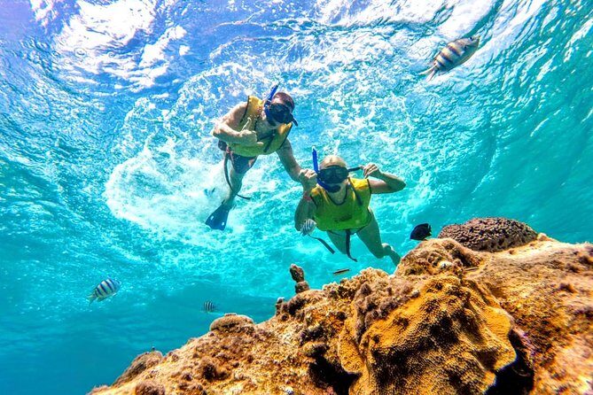 El Cielo Snorkel by Private Boat - Food and drinks on board: ceviche, fruit, and margaritas with real momentum
