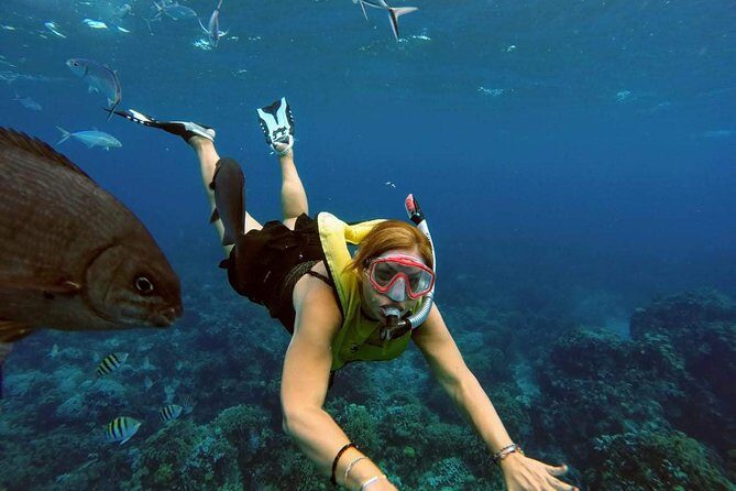 El Cielo Snorkel by Private Boat - Price and value: $499.99 per group and the extra fees to budget