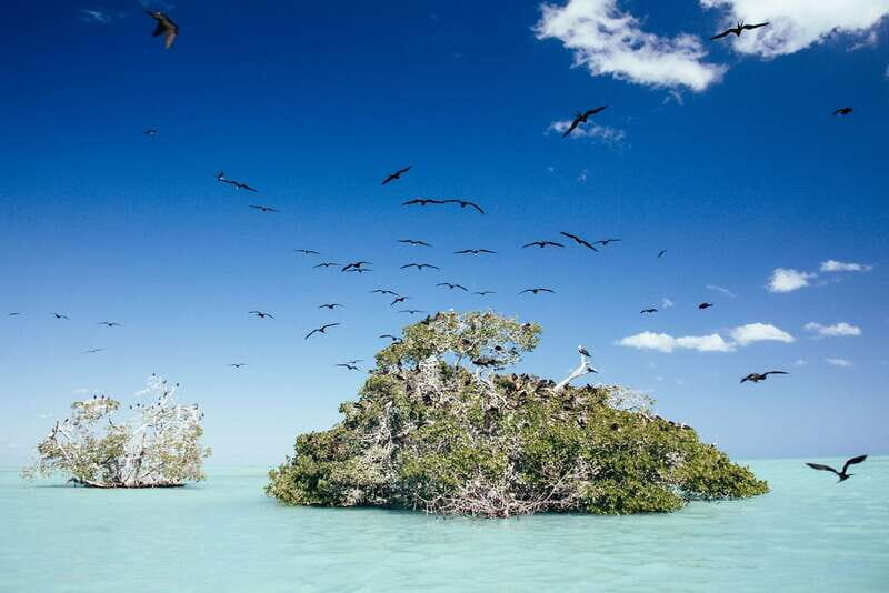 Exclusive Full Day Nature Expedition in Sian Ka'an - Key Things You’ll Notice on This Sian Ka’an Day
