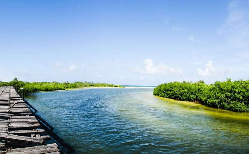 Exclusive Full Day Nature Expedition in Sian Ka'an - Punta Allen: why this fishing village stop is more than a break