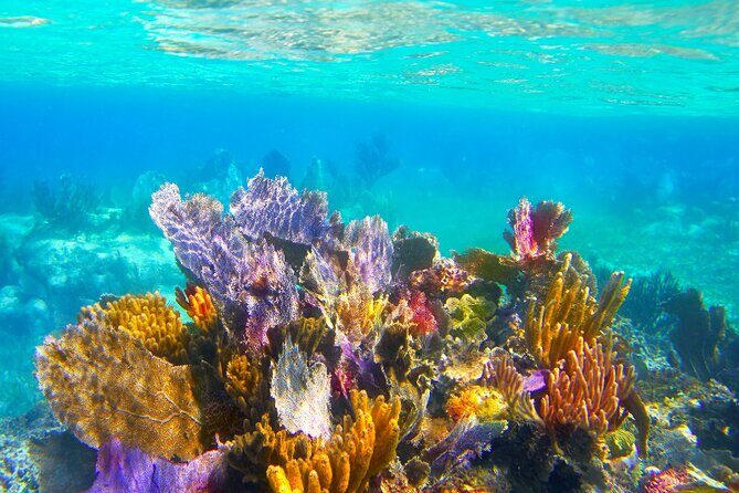Exclusive Private Boat to El Cielo - Why this private El Cielo boat day feels different in Cozumel
