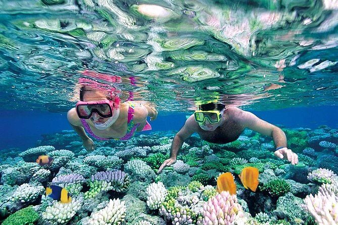 Exclusive Sailing Isla Mujeres. Top tour! - Food, drinks, and the onboard feel