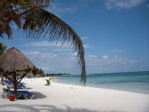 Exotik half a day tour: Cenote Cave and Swimming with Sea Turtles - Key things to know before you go
