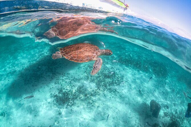 Exotik half a day tour: Cenote Cave and Swimming with Sea Turtles - Packing list: what actually helps in water plus caves