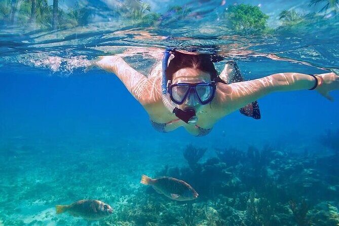 Exotik half a day tour: Cenote Cave and Swimming with Sea Turtles - Who this tour suits best (and who should choose something else)