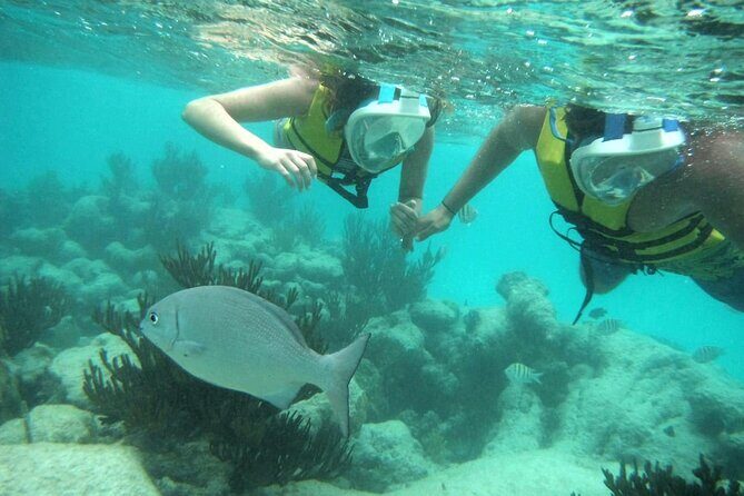 Exotik half a day tour: Cenote Cave and Swimming with Sea Turtles - Quick FAQ you’ll thank yourself for