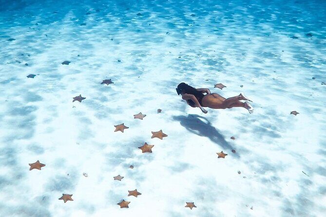 Exploration to El Cielo and Reefs: Live up close with stars - How the Food and Drinks Actually Fit the Day