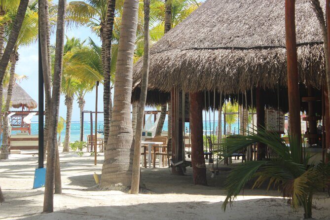 Fascinating beach club at Riviera Maya, full day pass with transport included - A water-park style day for all ages (without losing the beach vibe)