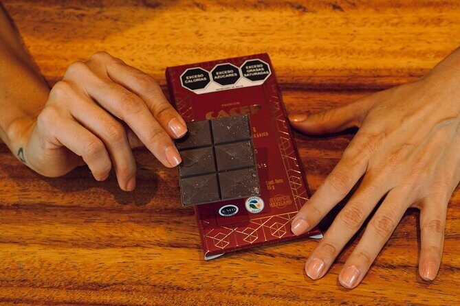 Fine Mexican Chocolate Tasting: A Sensory Luxury Journey - The welcome chocolate: a modern intro to ancient cacao