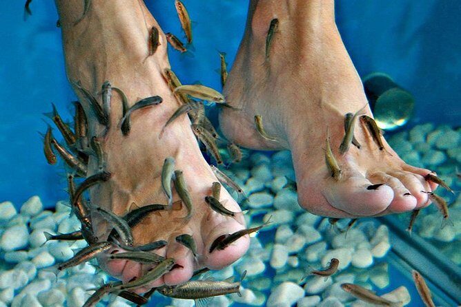 Fish Spa, Beach Break with Lounge Chairs, Umbrellas & Beach Area - Fish Spa Meets a Real Beach Club in Cozumel