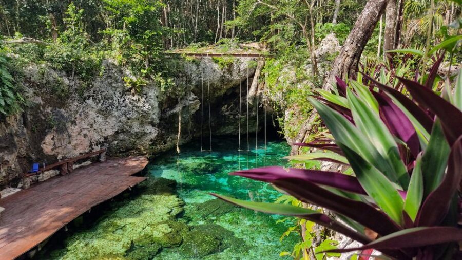 From Cancun: Day Trip to Tulum, Cenote & Playa del Carmen - Who Should Book This Tour (and Who Should Skip It)