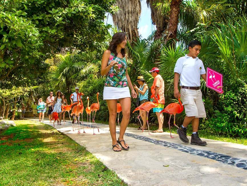 From Playa del Carmen: Xcaret Park All-Inclusive - The underground river tour: the main event, and how to be ready