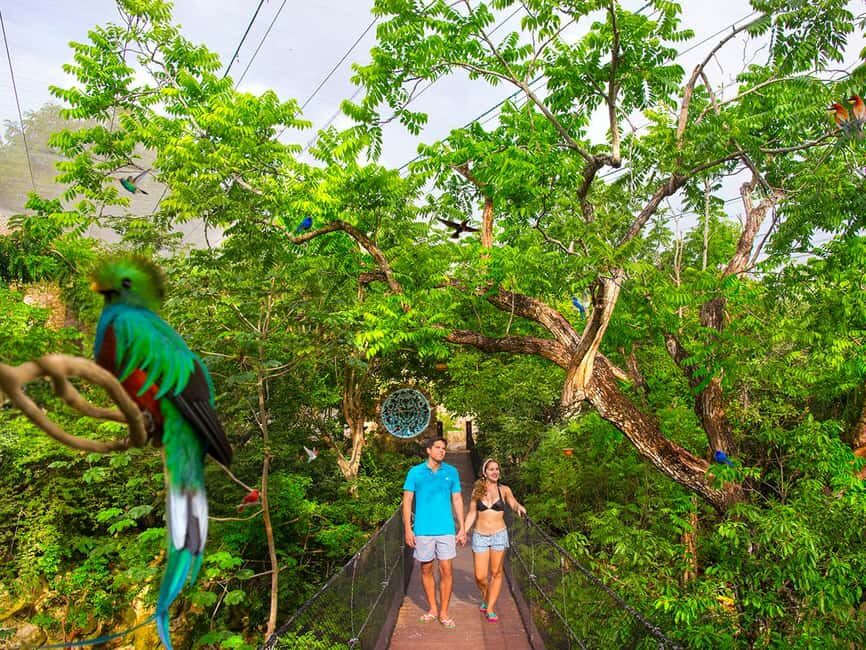 From Playa del Carmen: Xcaret Park All-Inclusive - Xcaret Mexico Spectacular: how to plan for the show part of your day