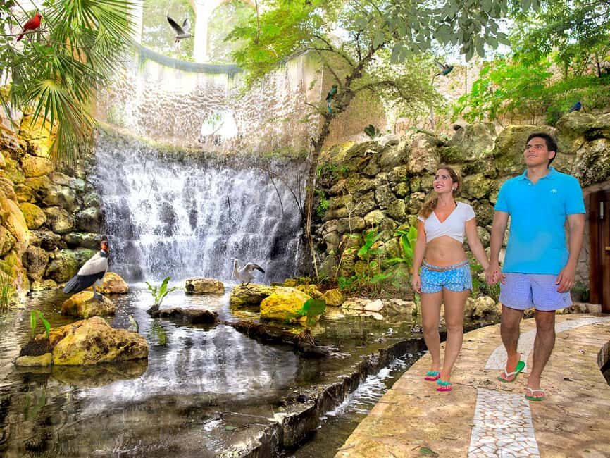 From Playa del Carmen: Xcaret Park All-Inclusive - Wildlife and gardens: aquarium, butterfly garden, and aviary stops that break up the day