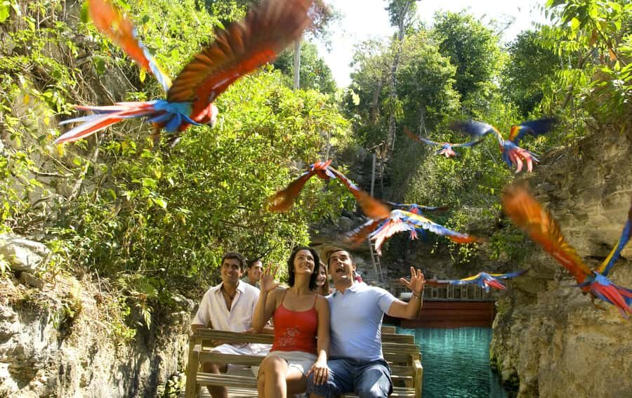 From Riviera Maya: Complete Combo to Xcaret Park! - Timing and Transport: Getting From Riviera Maya Without Headaches