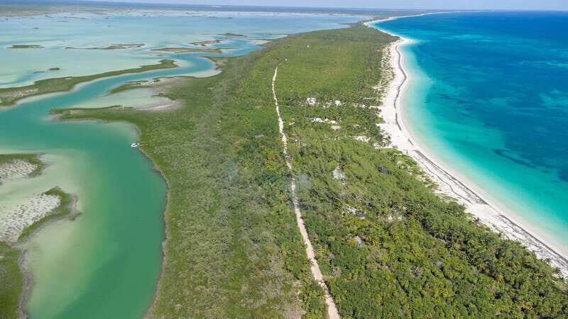 From Riviera Maya: Sian Ka'an Half Day Tour w/ Lunch - Price and logistics: is $204 per person worth it?