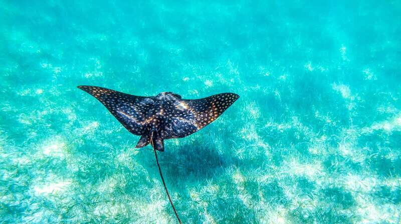 From Riviera Maya: Sian Ka'an Half Day Tour w/ Lunch - Who should book (and who should skip)