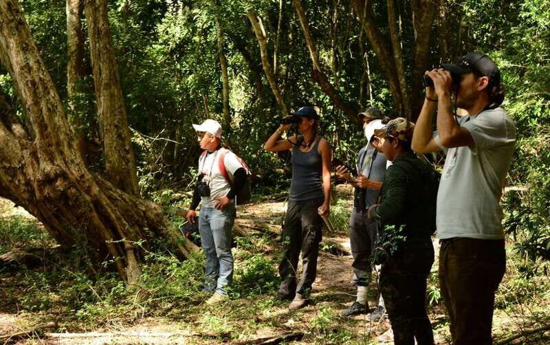 From Riviera Maya : Sian Ka'an Muyil Birdwatching with Guide - Flooded jungle boardwalk and a freshwater lagoon moment