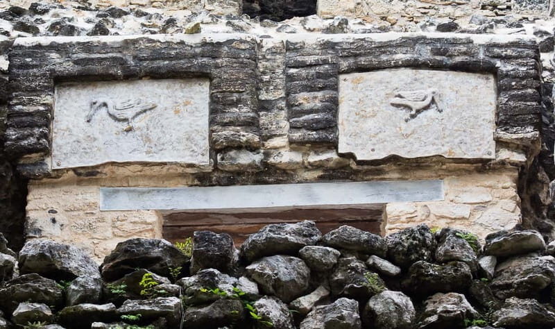From Riviera Maya : Sian Ka'an Muyil Birdwatching with Guide - Getting there from Tulum: meeting point logistics that matter
