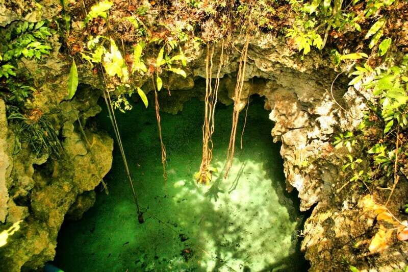 From Riviera Maya: Snorkeling & Private Cenote Half-Day Tour - Why This Half-Day Blend Works: From Cave Lights to Reef Fish