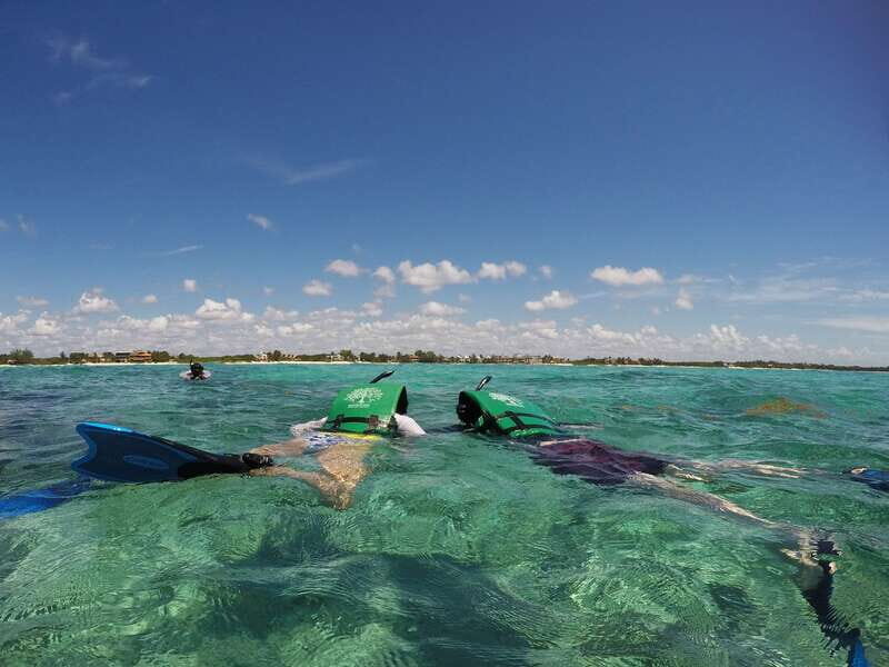 From Riviera Maya: Snorkeling & Private Cenote Half-Day Tour - Snorkeling Over Reef Waters: Fish Colors, Rays, and Sea Turtle Odds