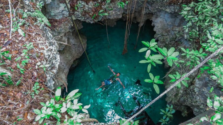 From Riviera Maya: Snorkeling & Private Cenote Half-Day Tour - What You Actually Get for $169: Transfers, Gear, Entrance Fees, and Food