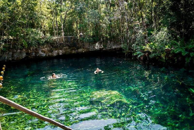 From Tulum: Four-Cenote Adventure - Pirañas Cenote: more swimming, more jungle, less “setup time”