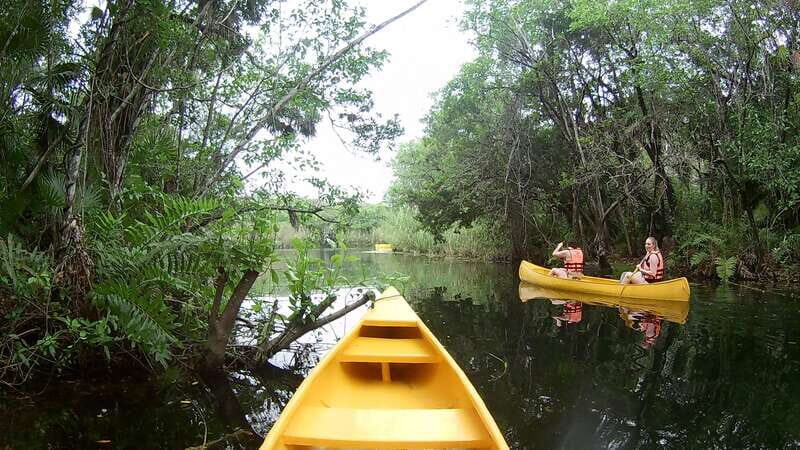 From Tulum: Four-Cenote Adventure - Your guide and what they add: jungle wildlife plus Mayan culture