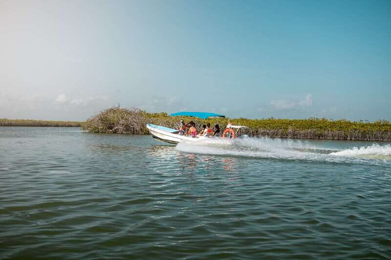 From Tulum: Sian Kaan Boat Trip Adventure with Lunch - Value for Money: Is It Worth $254?