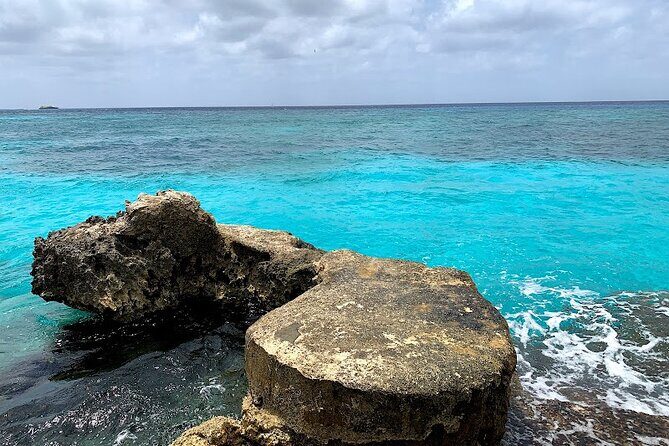Full-Day Catamaran Cozumel Tour with Sky Snorkeling - Lunch at Casa Luum / Luz Restaurant: Choose Your Plate, Then Relax