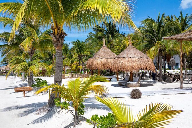 Full-Day Holbox Island Boat and Buggy Tour with Lunch - Price and value: is $210 a smart buy?