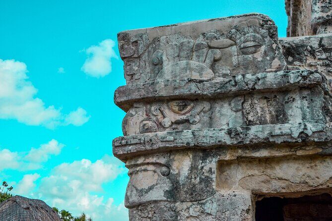 Full Day Tulum Ruins Tour Cenote and Swimming with Sea Turtles - Stop 3: Akumal sea turtles—what you can realistically expect