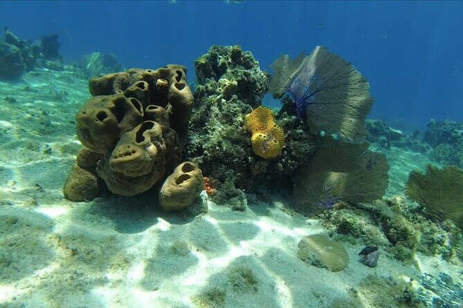 Fun Dive Machine in Playa del Carmen or Cozumel-For Certificates - What’s Included (and What That Means for Your Packing List)
