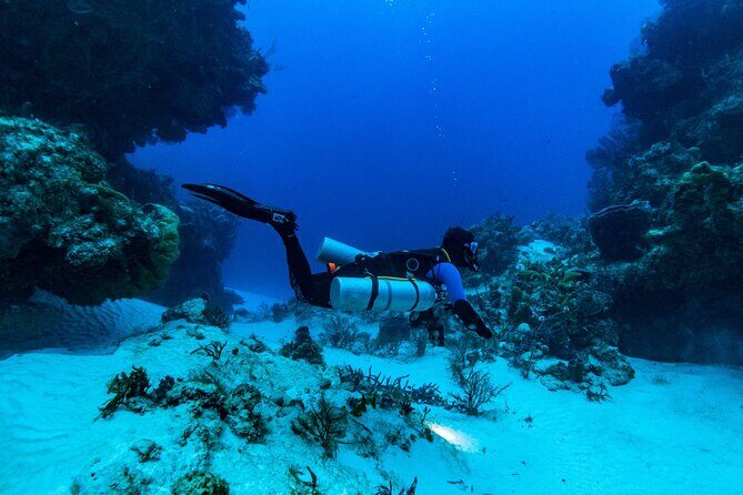 Fun Dive Machine in Playa del Carmen or Cozumel-For Certificates - Small Group Size: Why Up to 4 People Changes Everything
