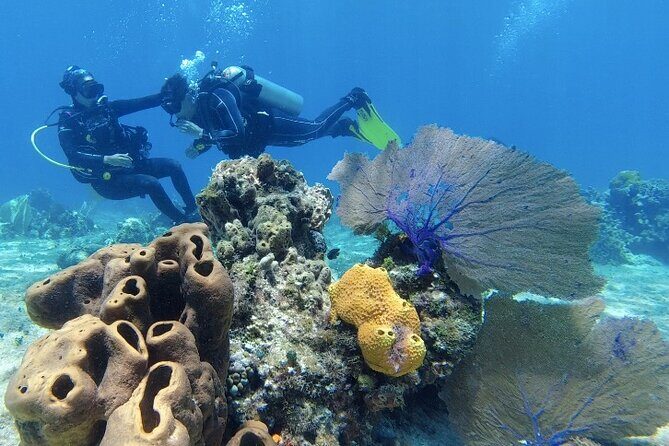 Fun Dive Machine in Playa del Carmen or Cozumel-For Certificates - Snacks, Water, and the Real Comfort Factor on a Short Day